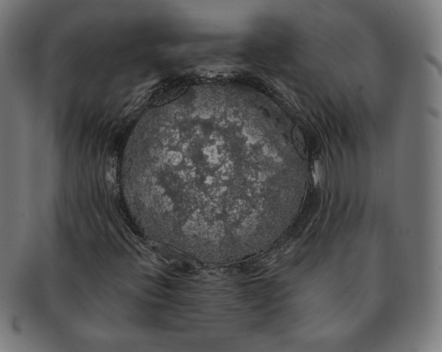 X0000091511396200709070943