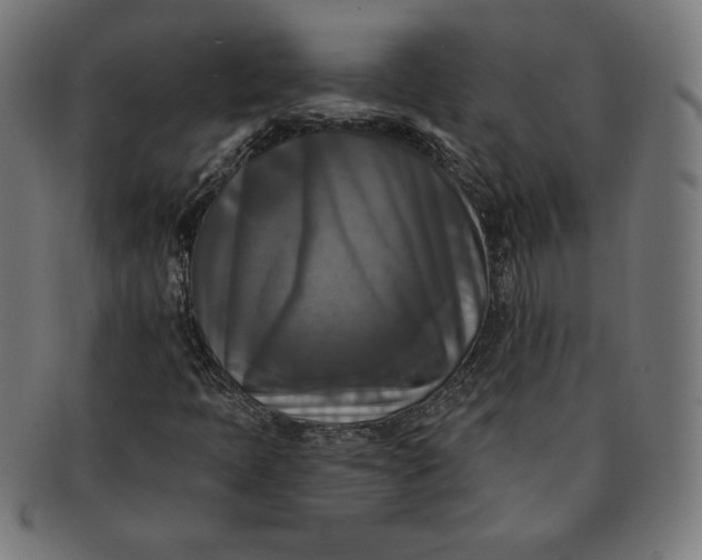 X0000091511397200709070943