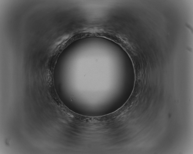 X0000091511398200709070943