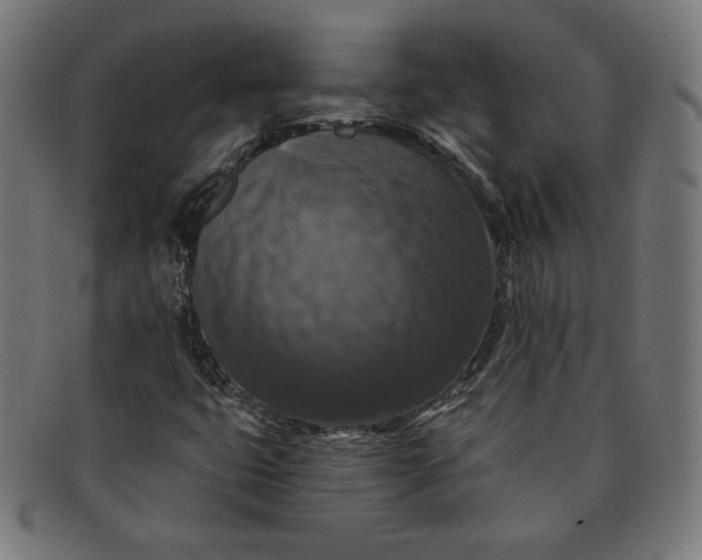 X0000091511399200709070943