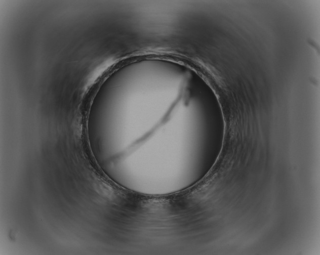 X0000091511406200709070943