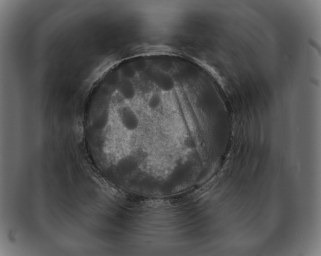 X0000091511407200709070943