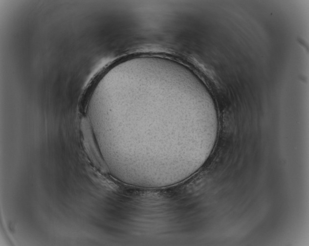 X0000091511408200709070943