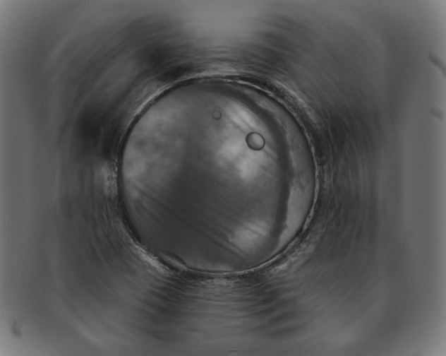 X0000091511409200709070943