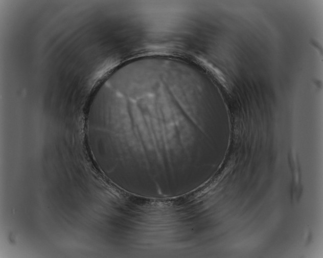 X0000091511411200709070943