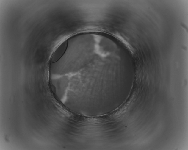 X0000091511413200709070943