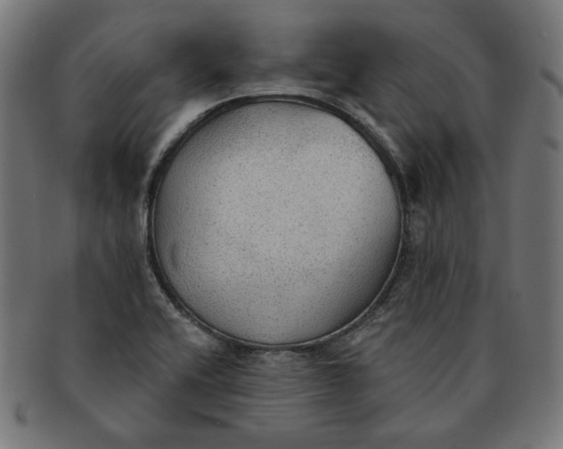 X0000091511416200709070943