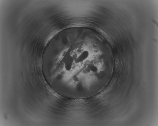 X0000091511417200709070943