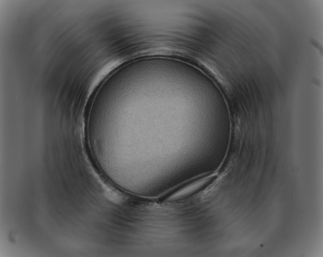 X0000091511418200709070943