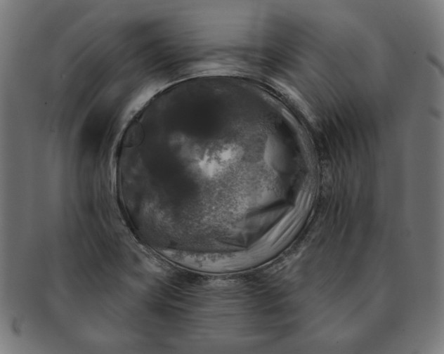 X0000091511419200709070943