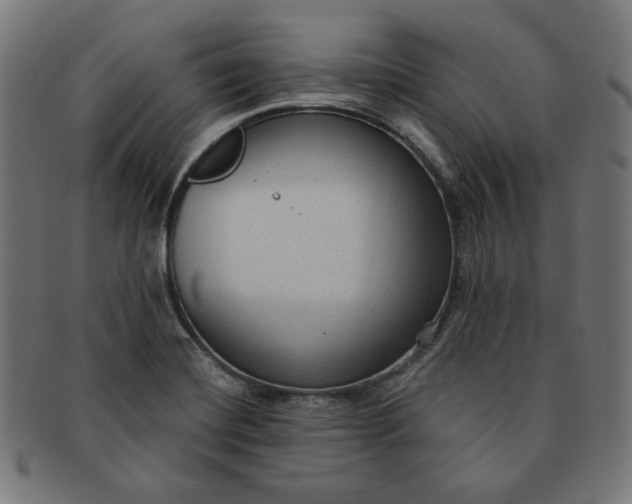 X0000091511420200709070943