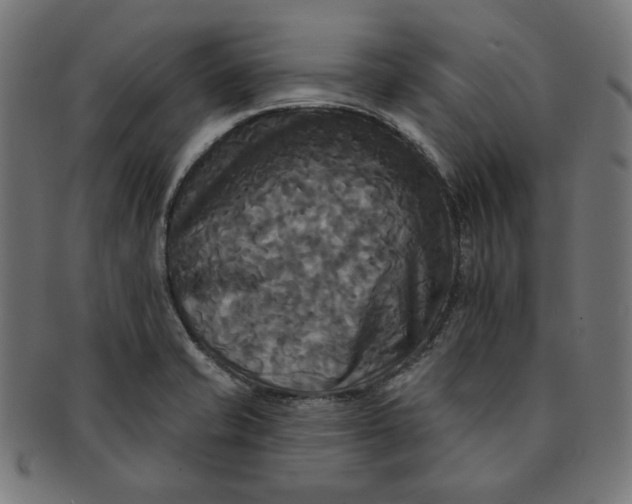 X0000091511421200709070943