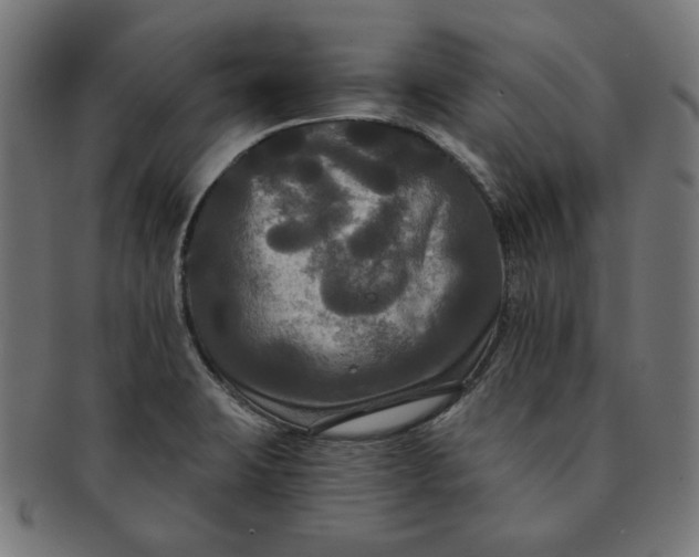 X0000091511423200709070943