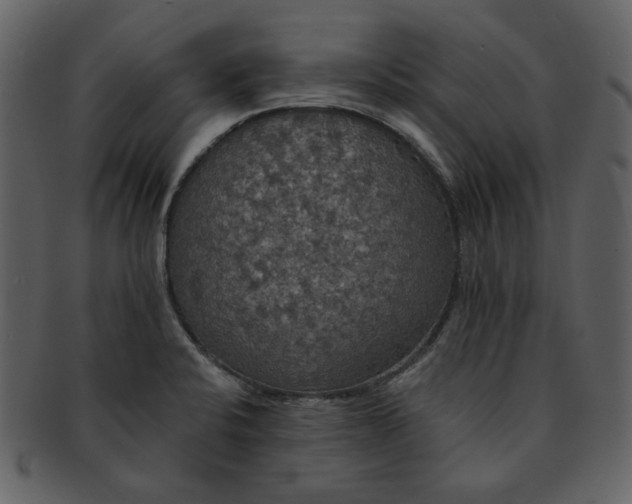 X0000091511424200709070943