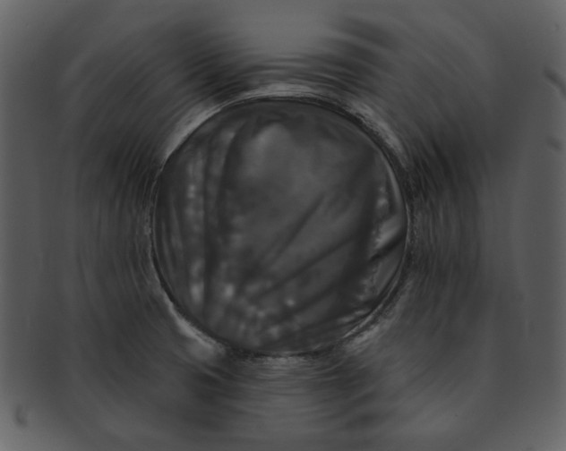 X0000091511425200709070943