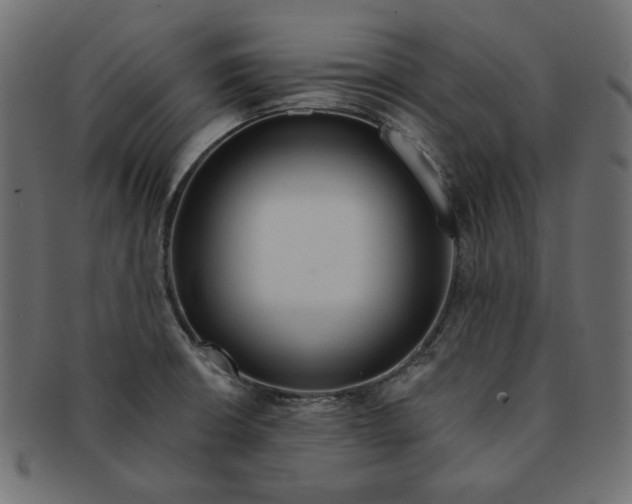 X0000091511426200709070943