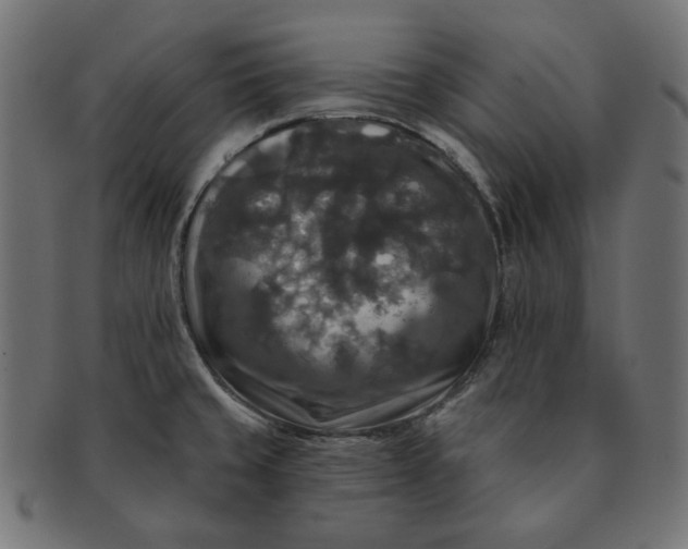 X0000091511429200709070943