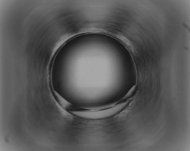 X0000091511430200709070943