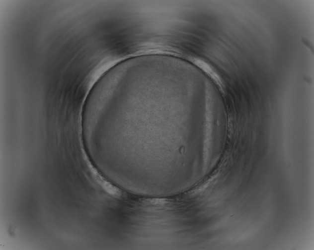 X0000091511431200709070943