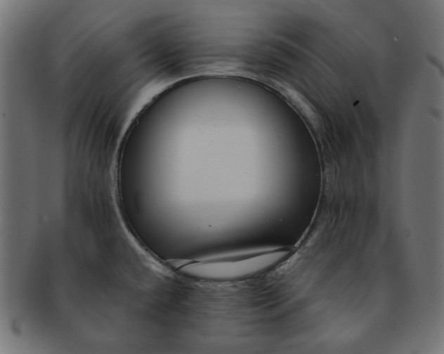 X0000091511432200709070943