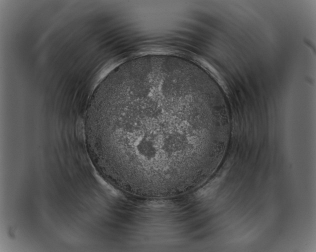 X0000091511433200709070943