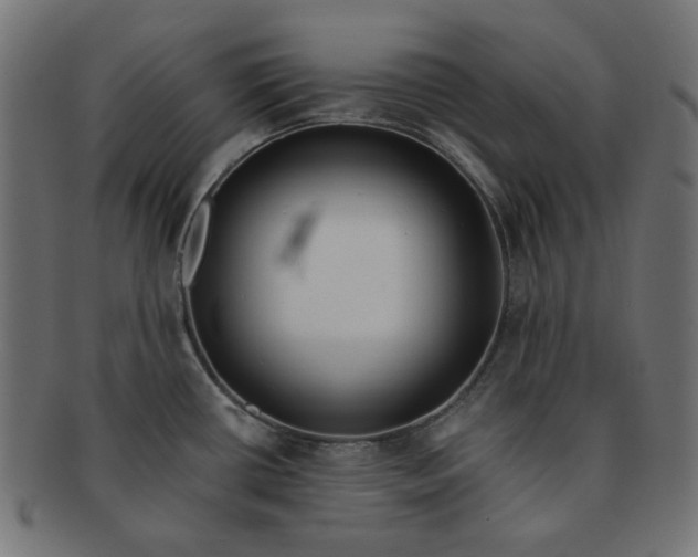 X0000091511434200709070943