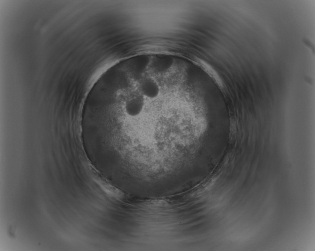 X0000091511435200709070943