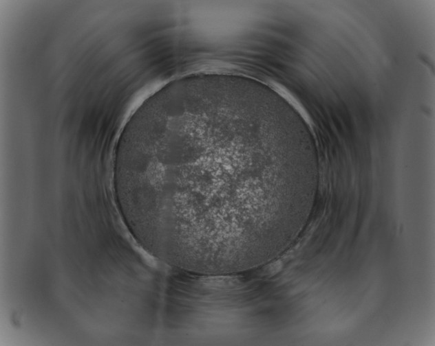 X0000091511437200709070943