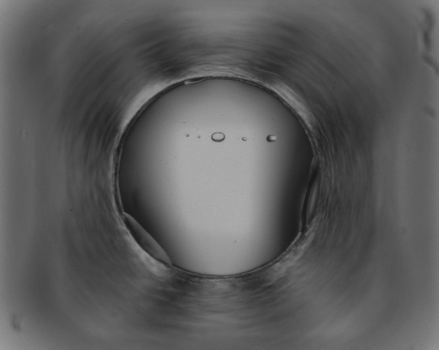 X0000091511438200709070943