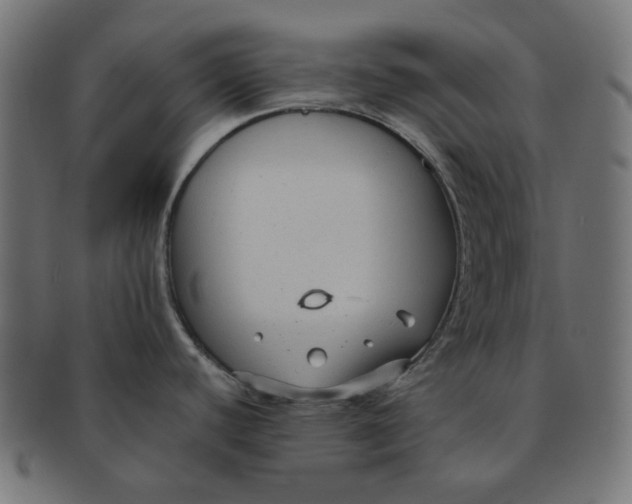 X0000091511440200709070943