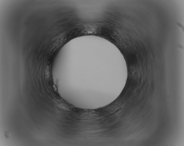 X0000091511442200709070943