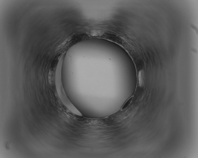 X0000091511443200709070943