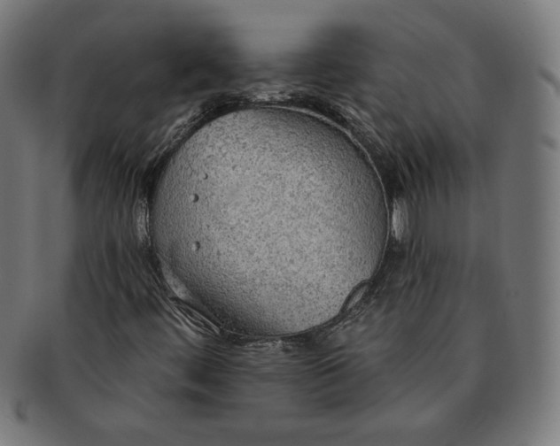 X0000091511444200709070943