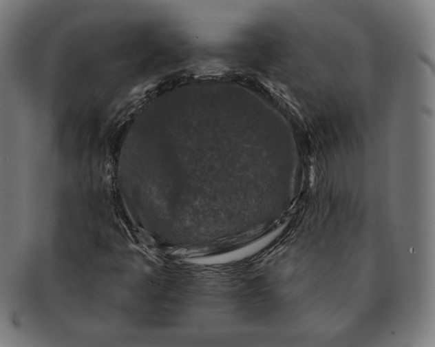 X0000091511445200709070943