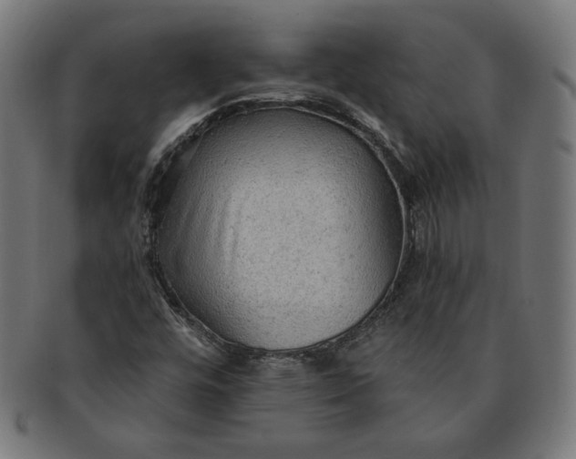 X0000091511448200709070942