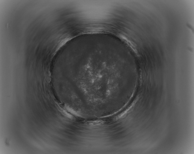 X0000091511449200709070942