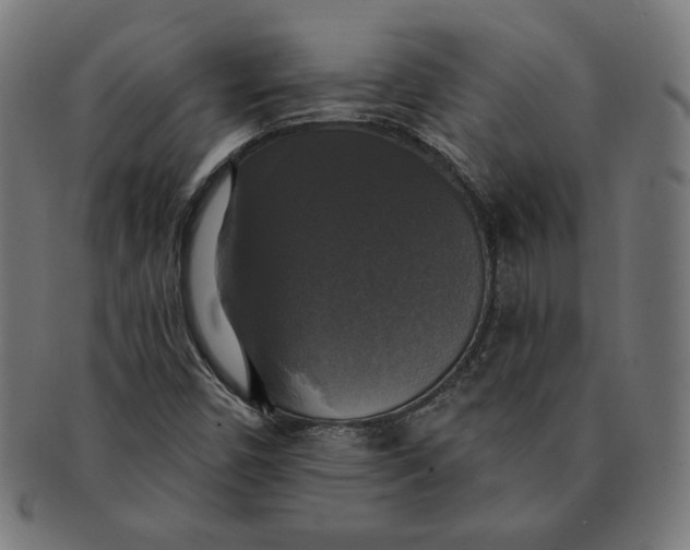 X0000091511450200709070942