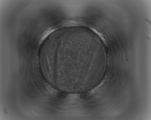 X0000091511453200709070942