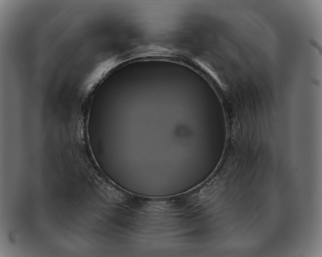 X0000091511455200709070942