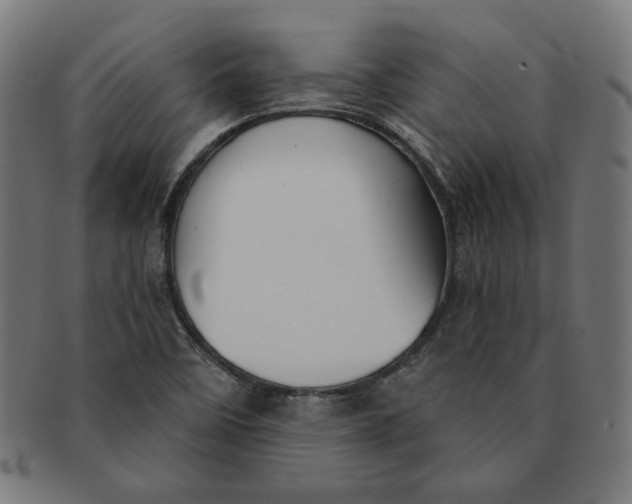 X0000091511458200709070942