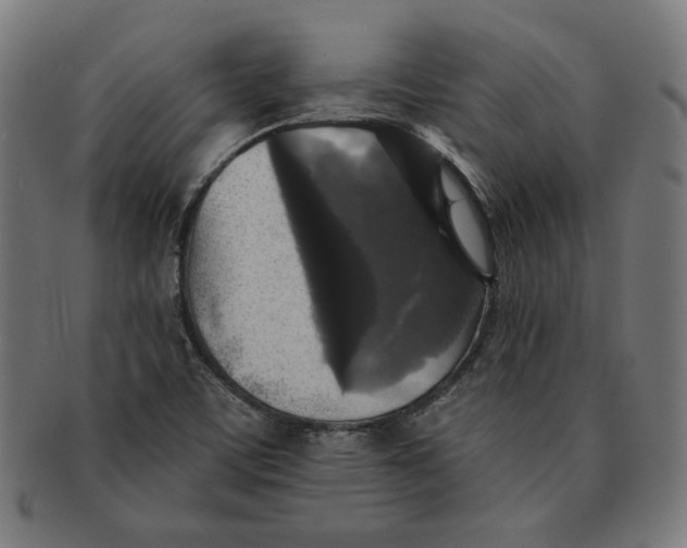 X0000091511459200709070942