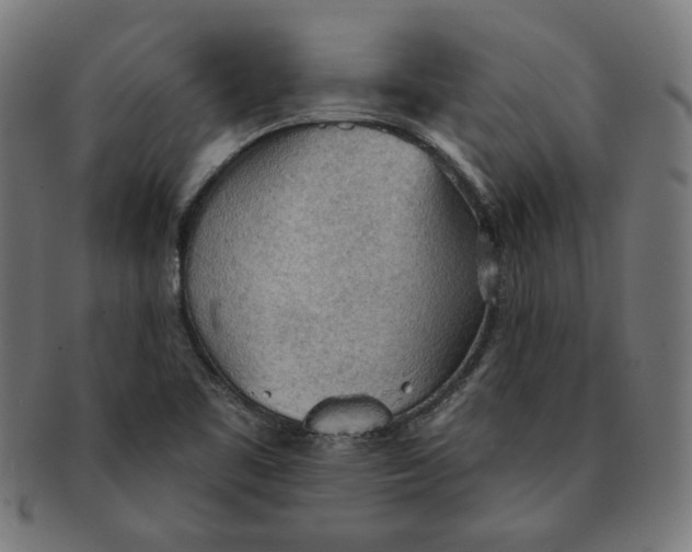 X0000091511461200709070942