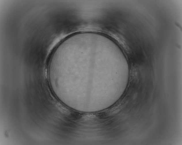 X0000091511462200709070942