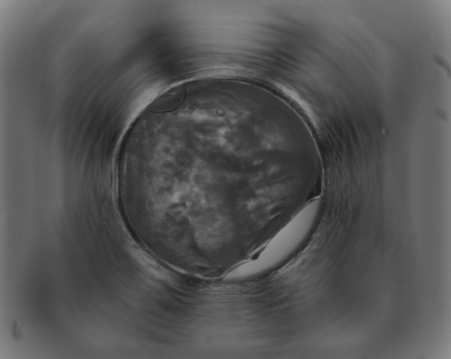 X0000091511467200709070942