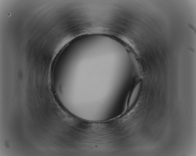 X0000091511469200709070942