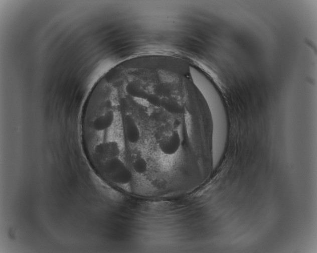 X0000091511471200709070942