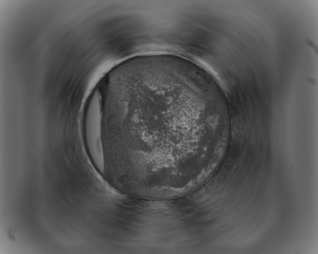 X0000091511472200709070942