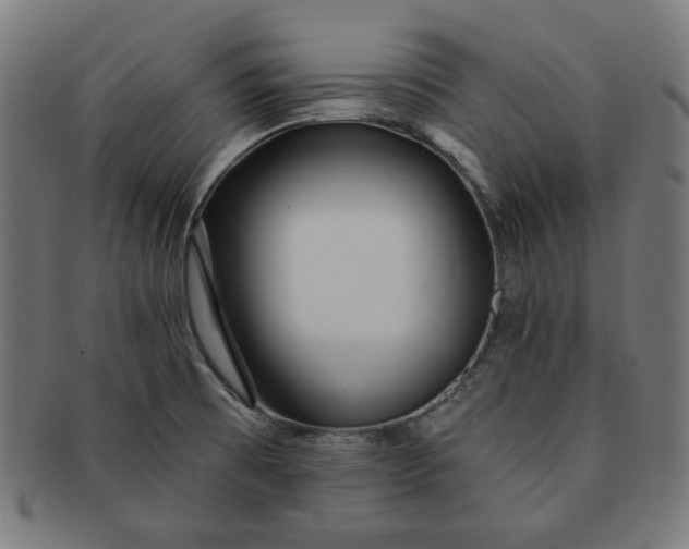 X0000091511473200709070942