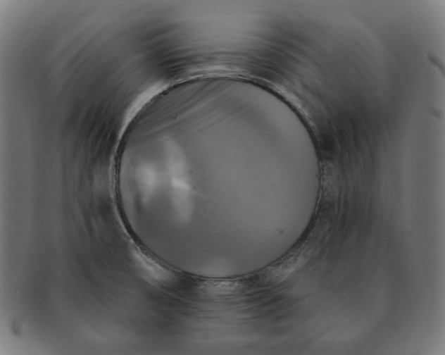 X0000091511474200709070942