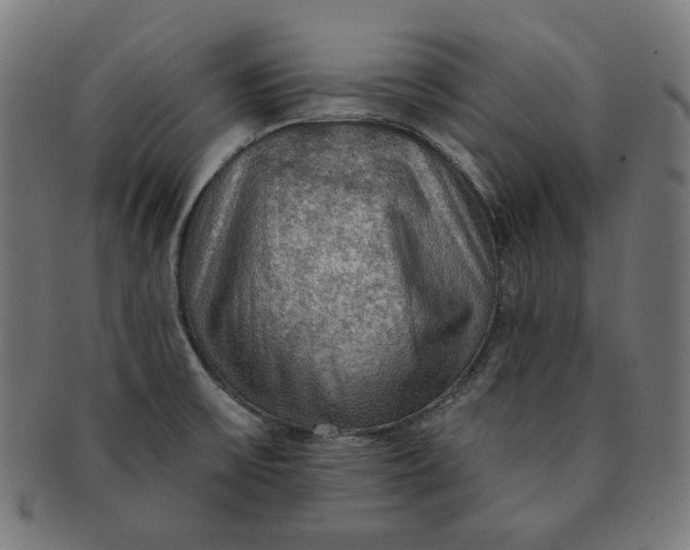 X0000091511475200709070942